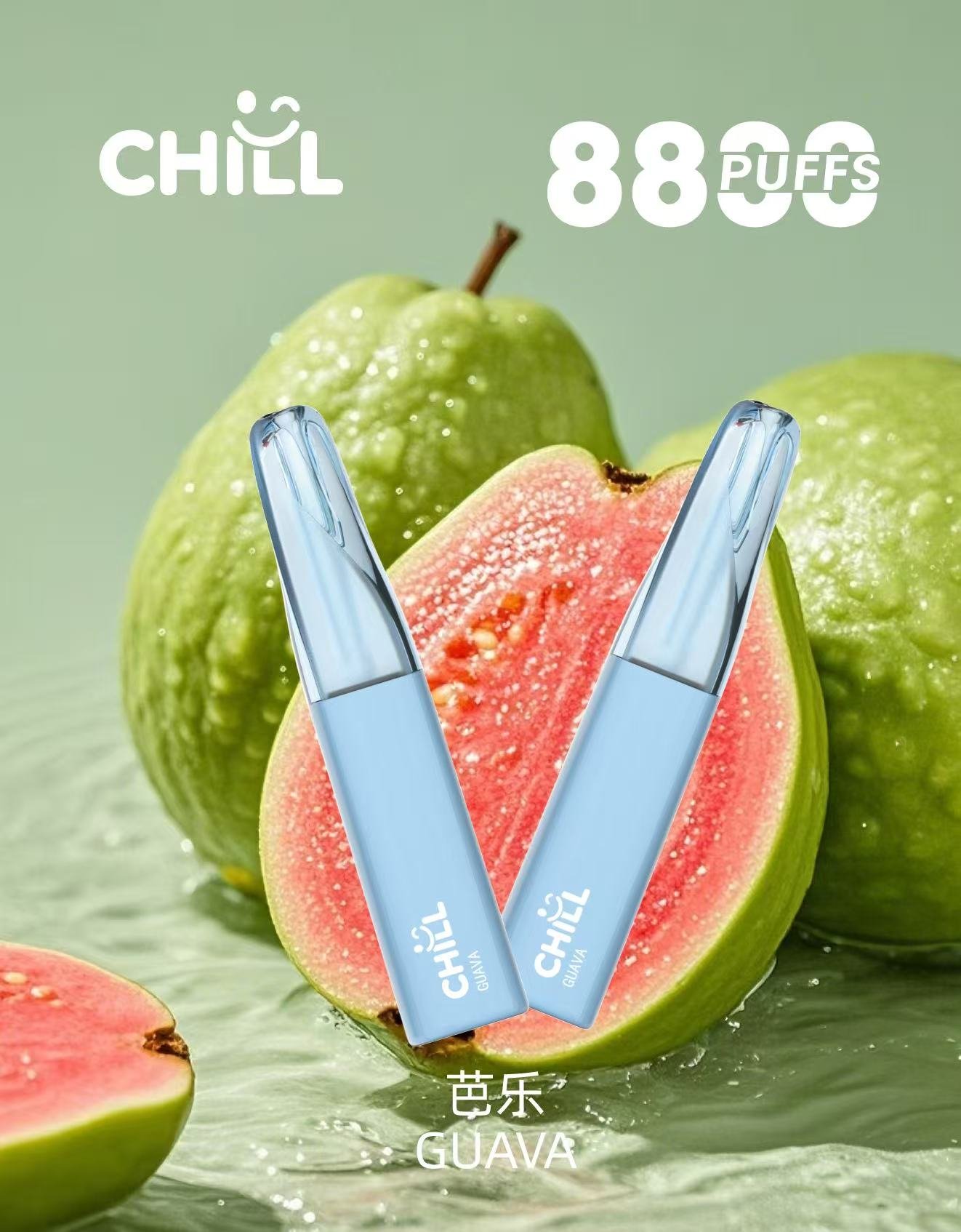 chIll始祖鳥88005