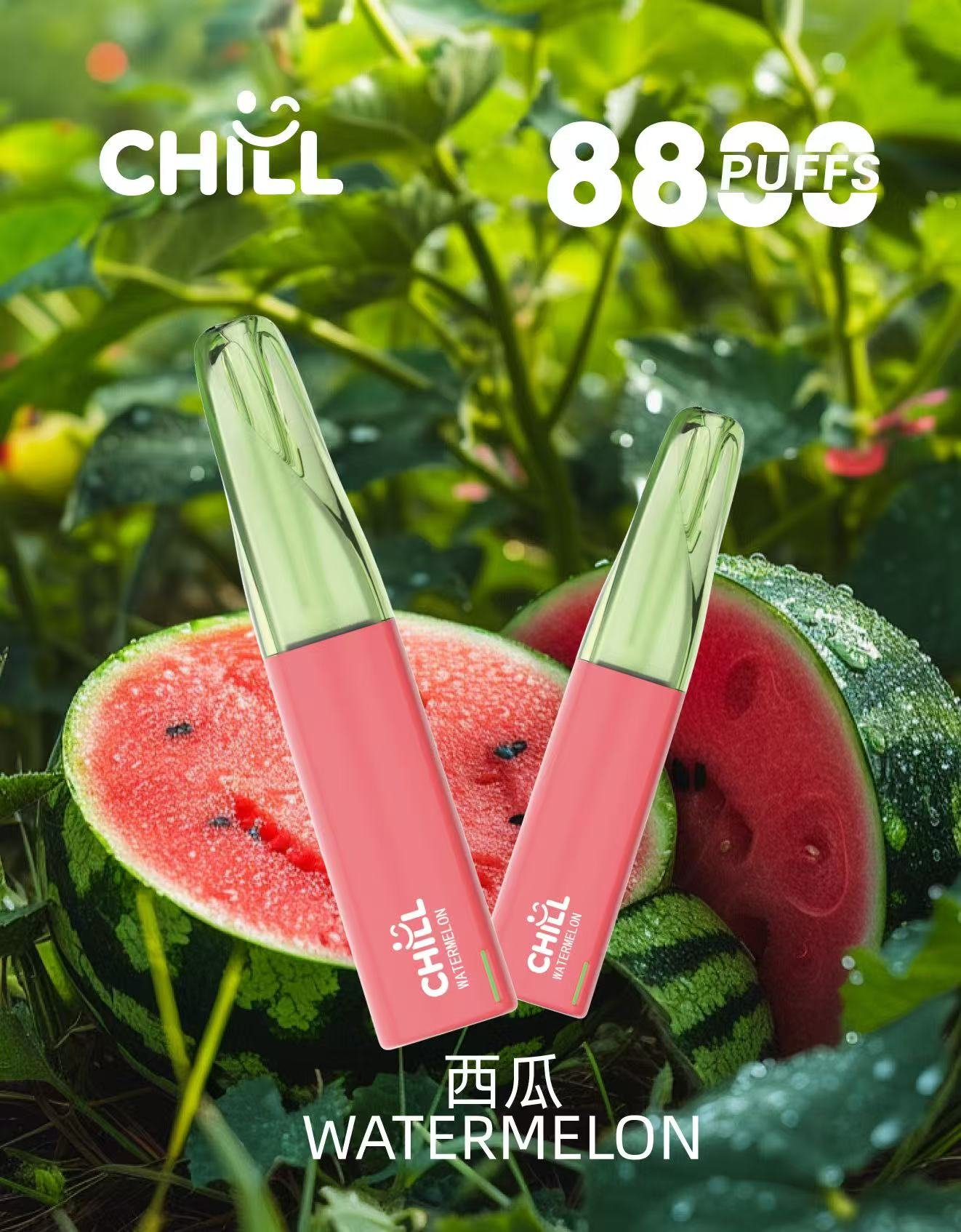 chIll始祖鳥88008
